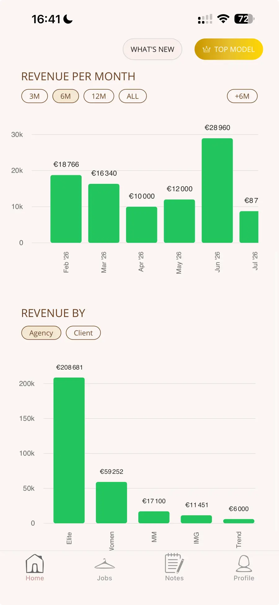 ModelWorth career stats showing revenue per month and by category